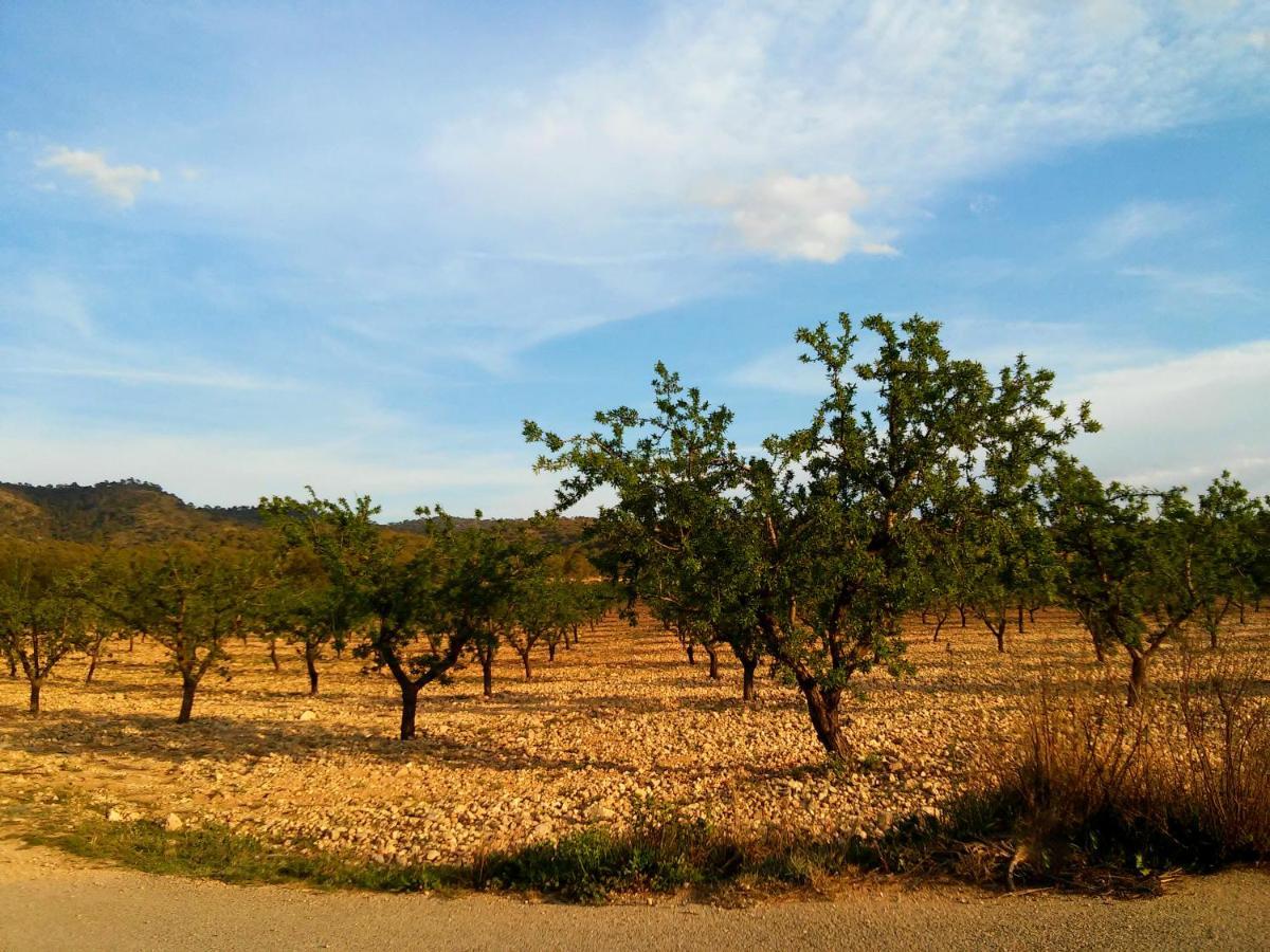 Casa Rural El Carmen De La Sierra Yecla Bagian luar foto