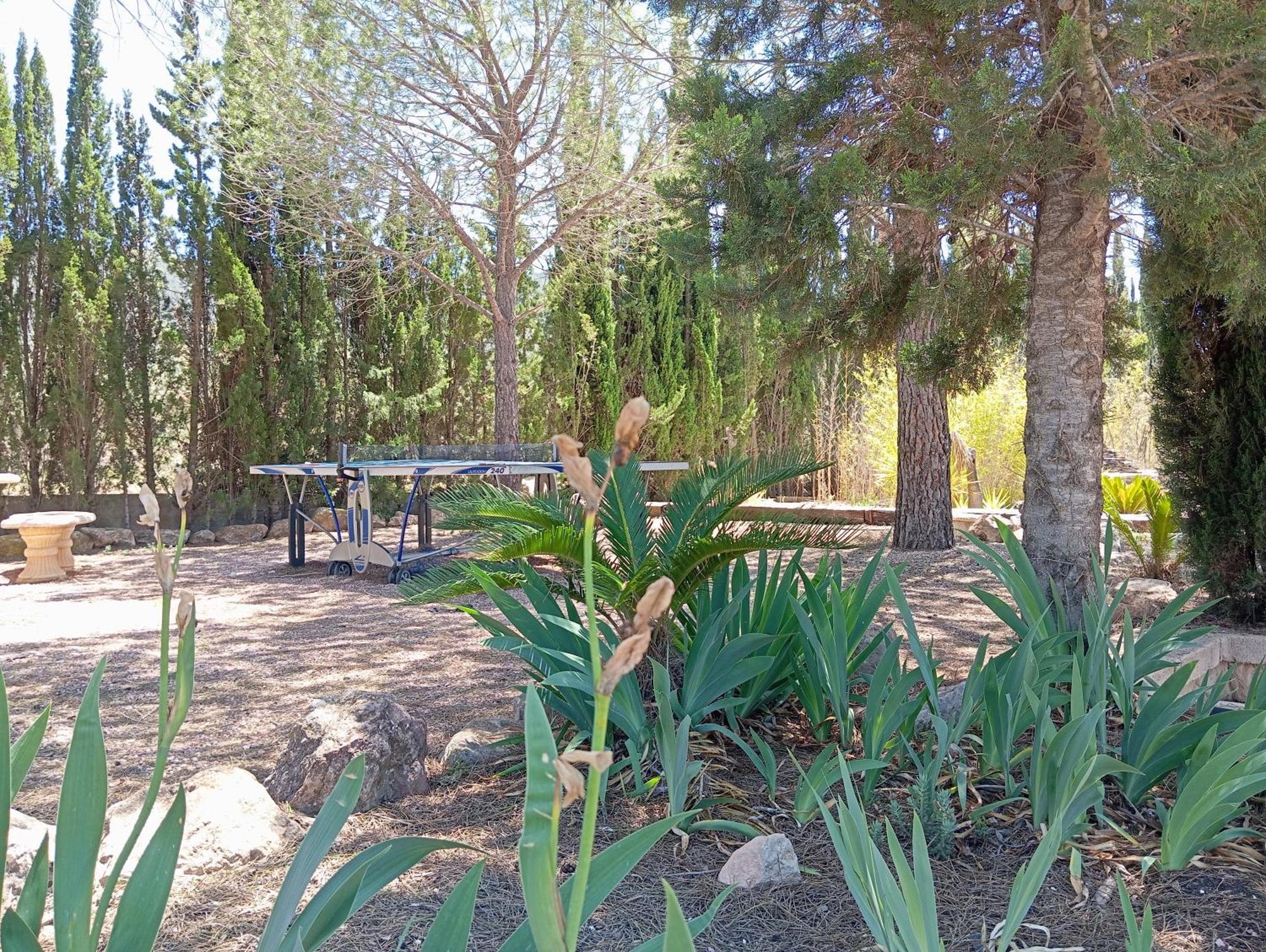 Casa Rural El Carmen De La Sierra Yecla Bagian luar foto